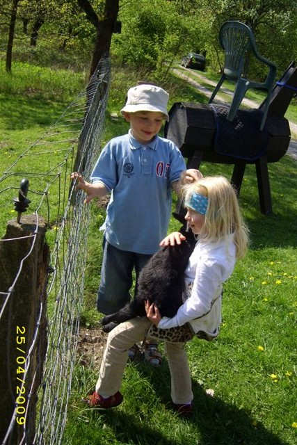 Whrend der Hundeschule kmmern sich die Kinder um Klaus, unseren neuen Mitarbeiter
